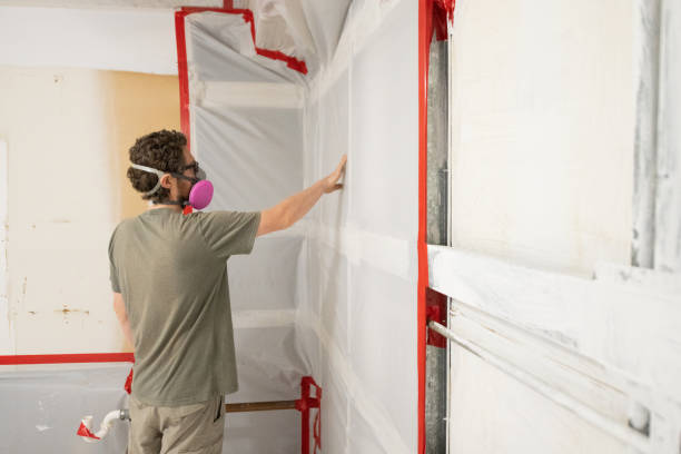 Mold Odor Removal Services in Lipscom, AL