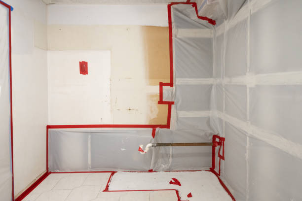 Environmental Consulting for Mold Prevention in Lipscom, AL